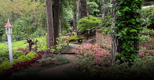 Howell Pathway Past Project