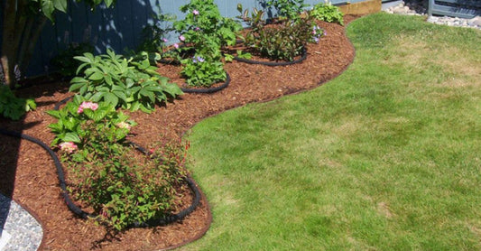 How to Increase Your Home's Value With Strategic Landscaping