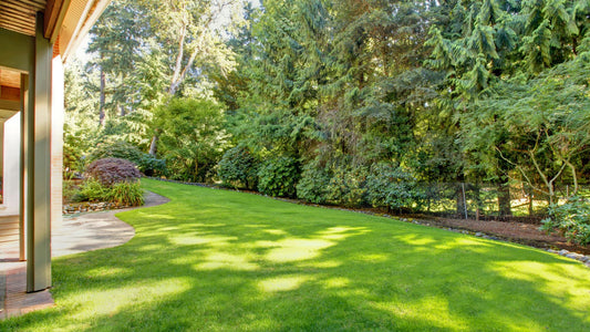 Top Benefits of Using Howell Pathways' Bender Boards for Your Outdoor Projects