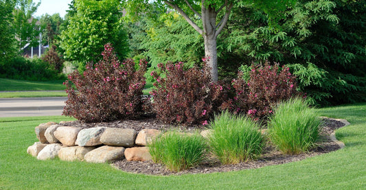 Warning Signs of a Poor Landscaping Contractor