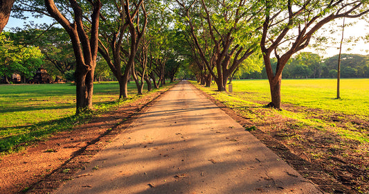 Our Pathway Stabilizers Are Ideal For Residential Projects, Too!