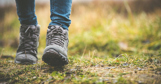 The Engineering Demands And Need For Protection For Your Pathway Part 1