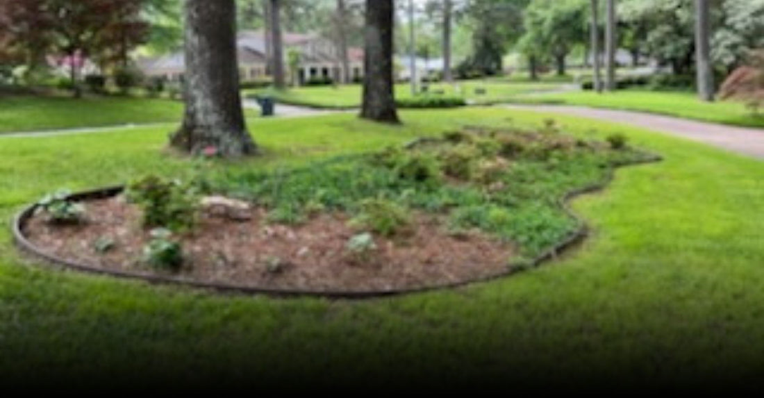 Utilizing Bender Boards and Weed Barriers for Sustainable Gardens