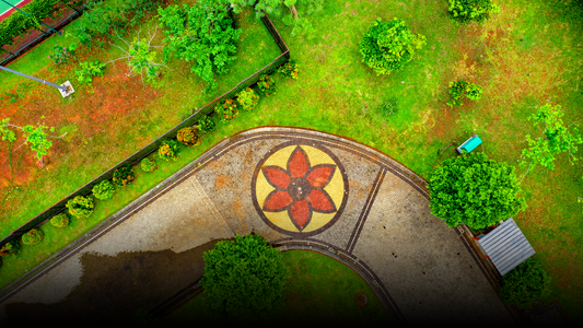 4 Common Myths About Backyard Edging