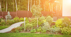 4 Things To Know Before Starting a Landscaping Project