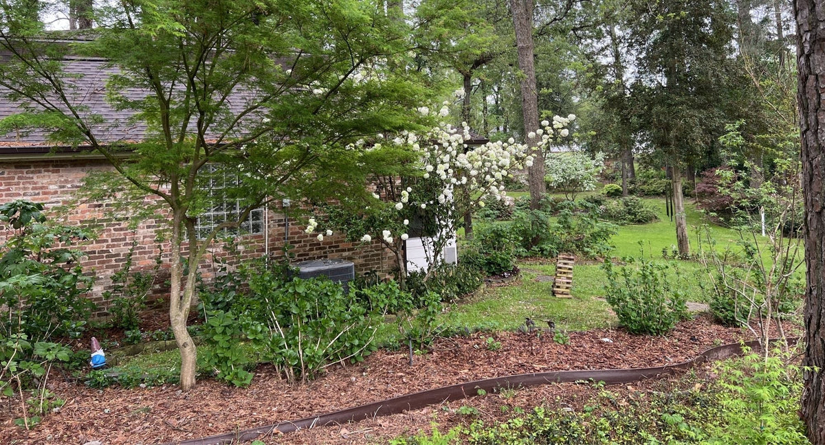 Stopping Invasive Weeds with Reliable Weed Barrier Edging