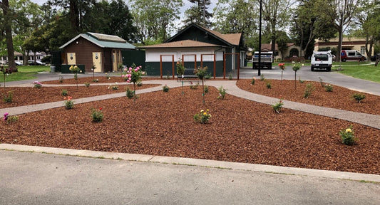 The Future of Sustainable Landscaping: Why Our HDPE Bender Board® Stands Alone