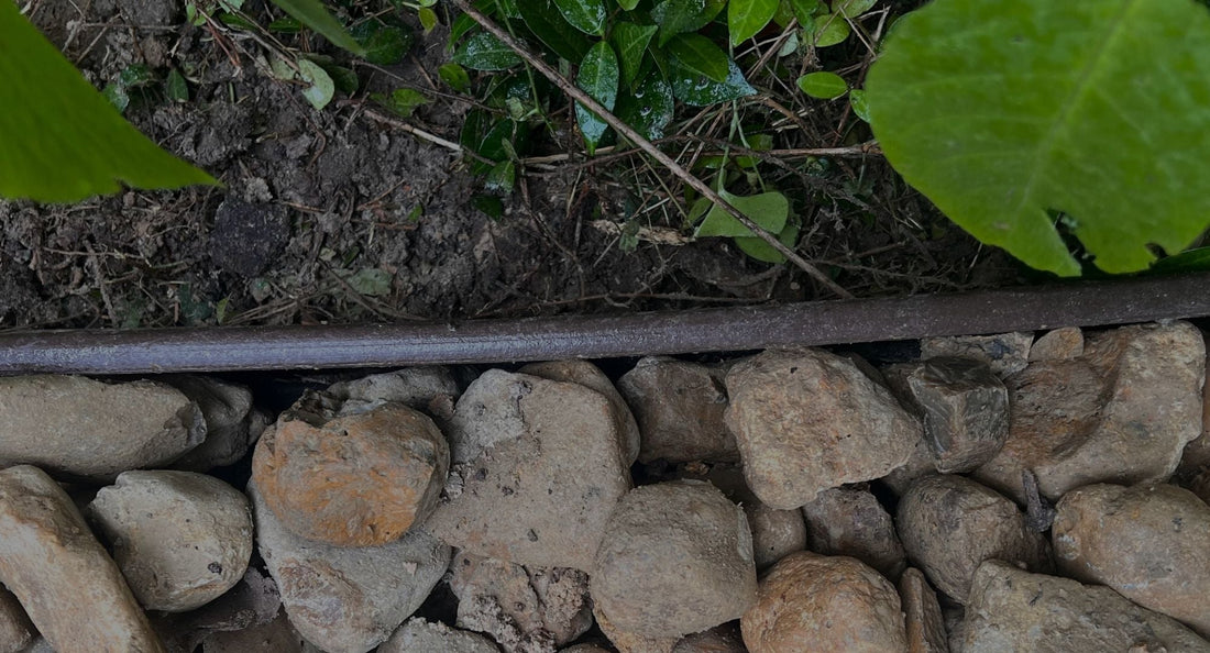 Bender Board®: The Original Standard in Landscape Edging