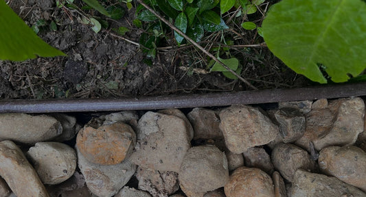 Bender Board®: The Original Standard in Landscape Edging