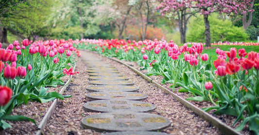 How Klingstone Paths Help Houston Residents Conserve Water and Save Money