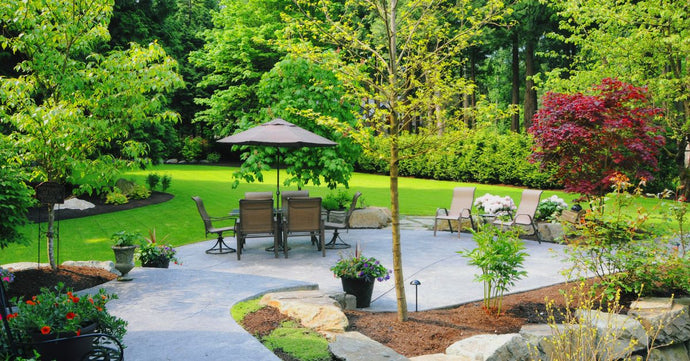 The Ultimate Guide To Backyard Landscaping