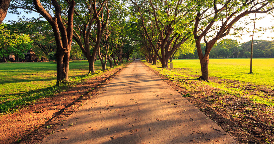 Our Pathway Stabilizers Are Ideal For Residential Projects, Too!