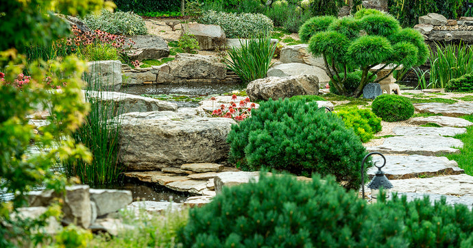 Our Pathway Sealant Company Provides Quality Tips For Your Home Landscaping Part 1