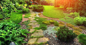 How Do I Keep My Garden Walkways Intact? Howell Pathways Can Help! Part 1