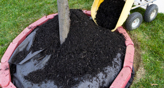 Weed Barrier 101: How to Use It