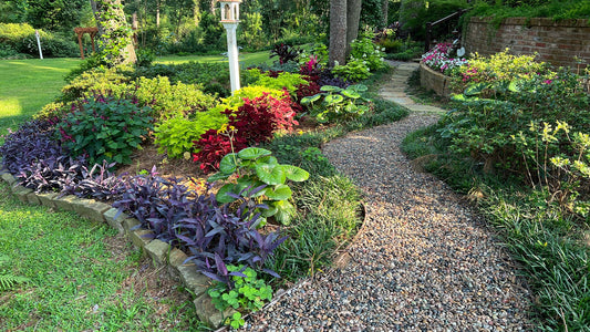 Five Benefits of Weed Barrier