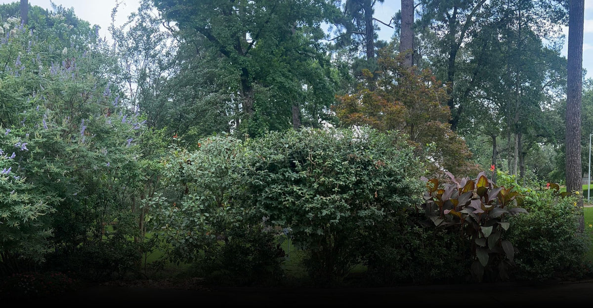 Durability Meets Functionality: The Benefits of Bender Boards and Weed Barriers for Homeowners
