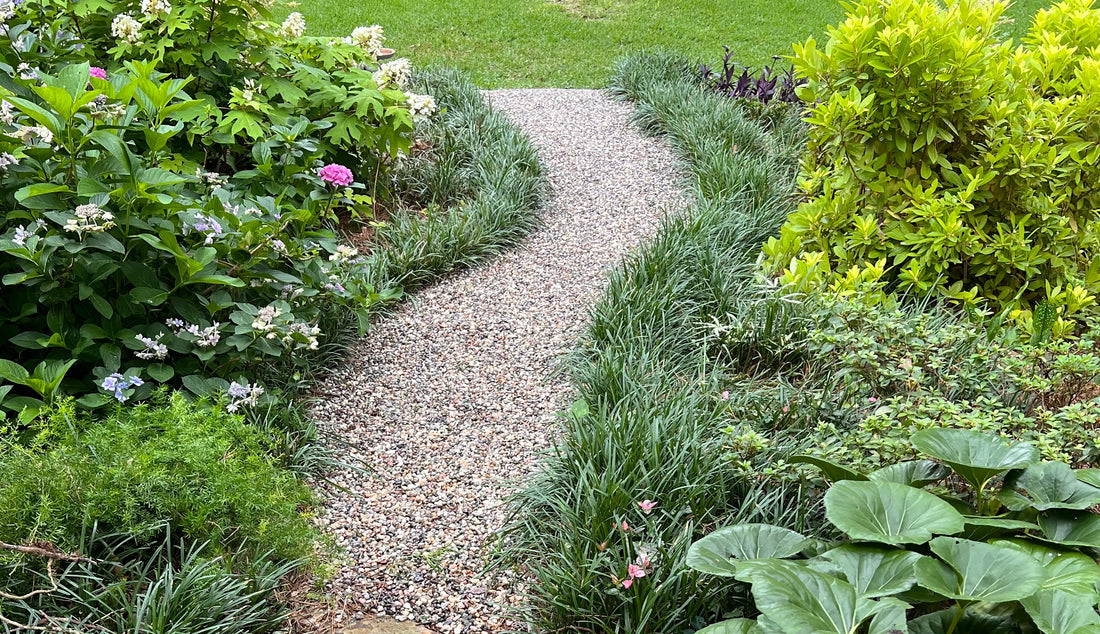 Pathway