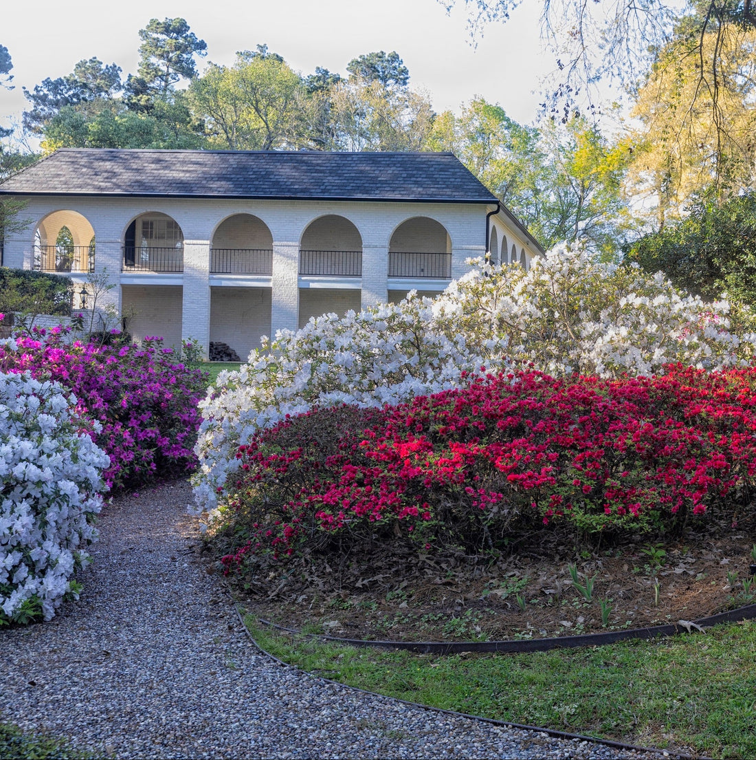 <strong>Landscape Edging</strong>