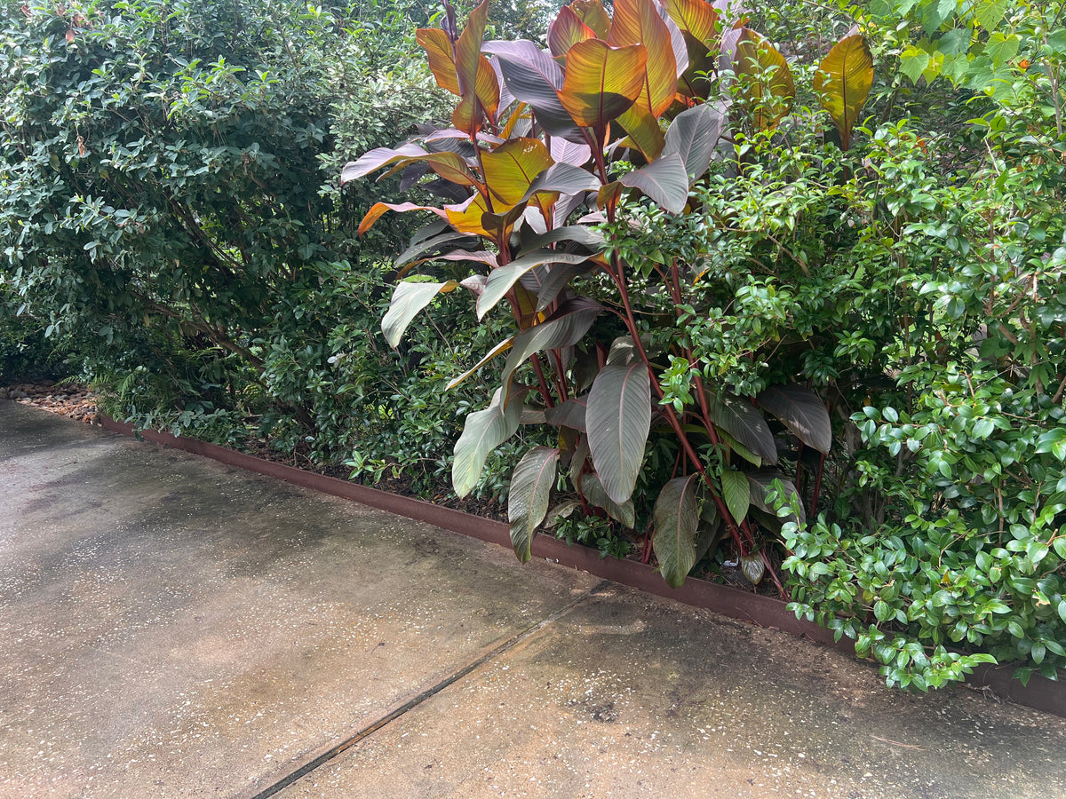 Howell Pathways